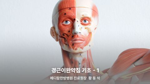 온라인강의 이미지