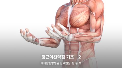 온라인강의 이미지